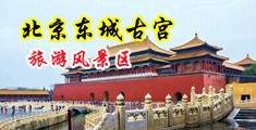 精东换妻中国北京-东城古宫旅游风景区